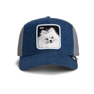 Damen Denim Baseballcap "Diva Dawg" – Goorin Bros